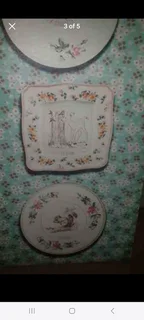 Animals of the Forest - Kids