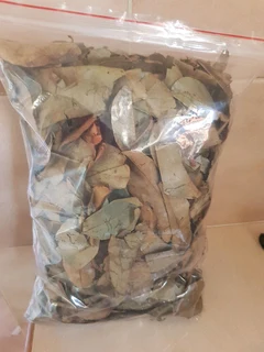 Unsorted soursop leaves