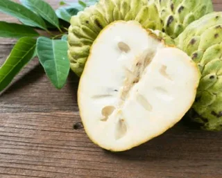 Green custard apple trees for sale