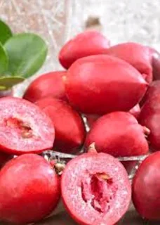 Num-num Plum trees for sale