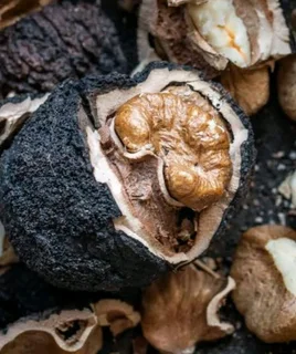 Black Walnut trees for sale