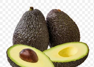 Grafted dwarf Haas Avocado trees for sale