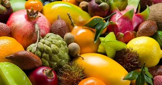 Monkey orange fruit trees for sale