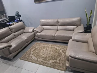 Couches or sofas for sale