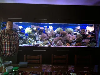 Relocations, Start-ups, Shutdowns & Custom-Built Aquariums or Fish Tanks