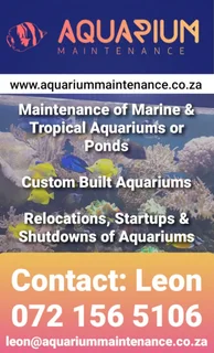 Marine Aquarium or Fish Tank Maintenance