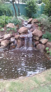 Koi Pond Maintenance or Cleaning