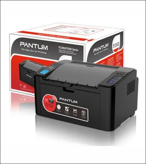 Pantum Mono Printer