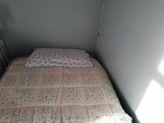 Comforters (blankets)