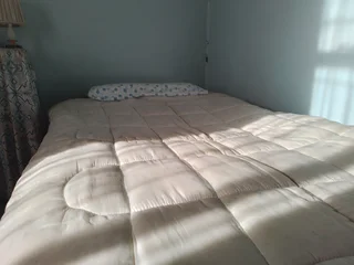 Comforters (blankets)