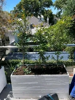 Spring Has sprung... time to spruce up your outdoor area.