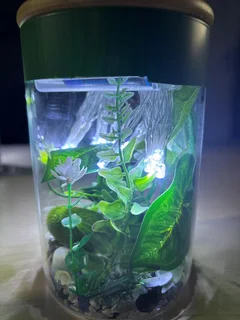 Decorative Fairy Light Jars