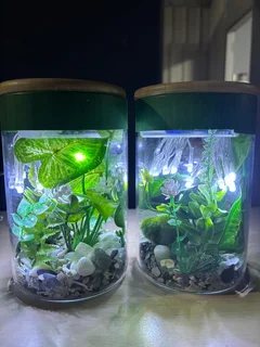 Decorative Fairy Light Jars