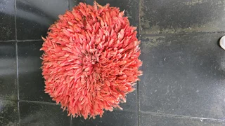 2 Feather Hats from Cameroon