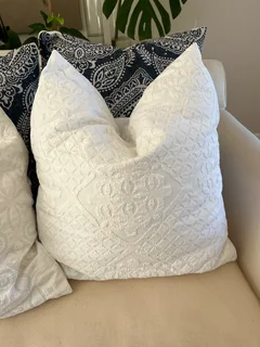 4 large scatter  cushions