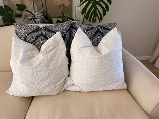 4 large scatter  cushions