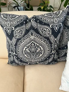 4 large scatter  cushions
