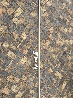 Curtain rod and finals