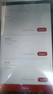 Auto Electrician and Mechanic