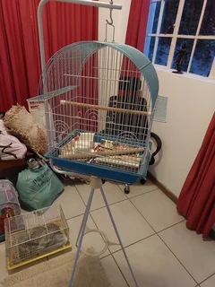 Budgie cage with stand