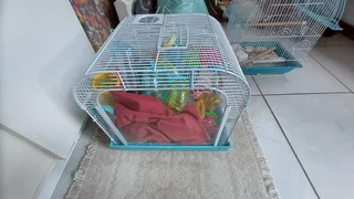 Hamster cage with piping and a second temporary cage (2 cages)