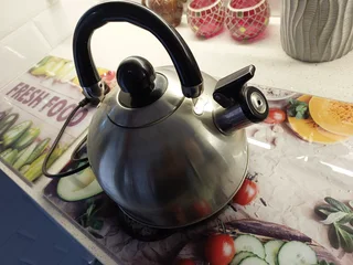 Electric whistle kettle