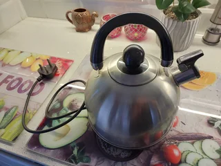 Electric whistle kettle