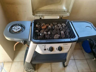 Portable Gas Braai Stand