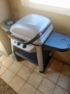 Portable Gas Braai Stand