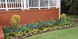 Jesse James Landscapes Umhlanga