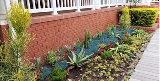 Jesse James Landscapes Umhlanga