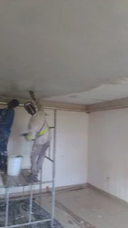 Rhinoliting in progress