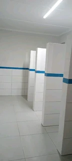 Painting, Ceiling repairs &amp; installation