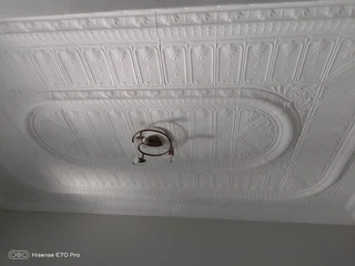 Painting, Ceiling repairs &amp; installation