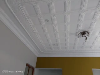 Painting, Ceiling repairs &amp; installation