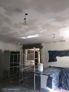 Rhinoliting in progress