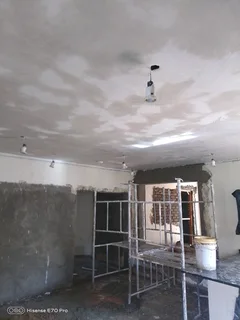 Rhinoliting in progress