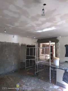 Rhinoliting in progress