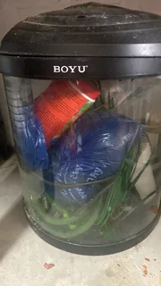 Aquarium accessories