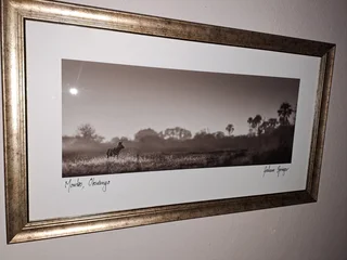 Graham Springer  "okavango Delta"