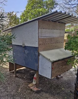 Chicken Coop, Backyard Chickens, Brackenfell