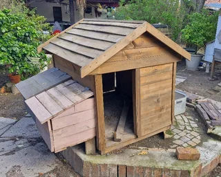 Chicken Coop
