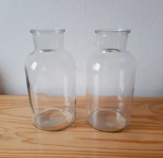 Glass Bottle Vases. Set of 2.