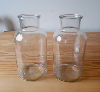 Glass Bottle Vases. Set of 2.