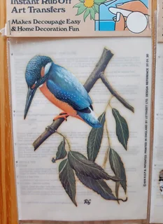 Bird Art Transfers. Set of 4.