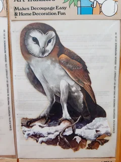 Bird Art Transfers. Set of 4.