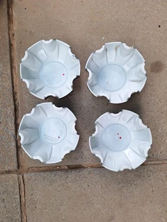 Isuzu center caps