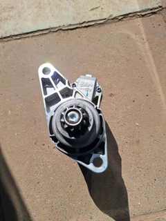 Polo vivo/bujwa starter