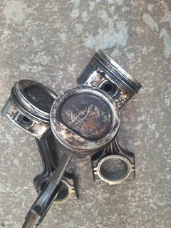 Polo bujwa blm and bah pistons