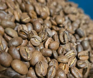 Quality Coffee Crafted to Excellence - Mobile Coffee Service